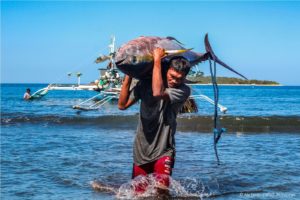 Small-Scale Tuna Fishers Earn MSC Certification in Historical First